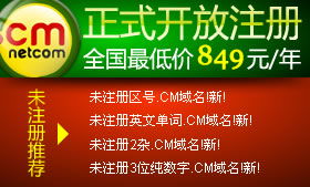 耐思尼克 一站式企業(yè)互聯(lián)網(wǎng)解決方案，助力您的數(shù)字化征程